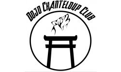 Dojo Chanteloup Club