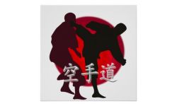 Mouvement Karaté 2