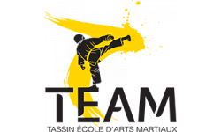 Tassin Ecole Arts Martiaux