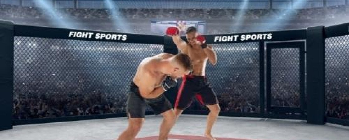 MMA : l’UFC France devient réalité !