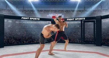 MMA : l’UFC France devient réalité !