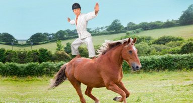 Participez à notre 1er tournoi de karaté à cheval !