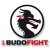 Budo-Fight