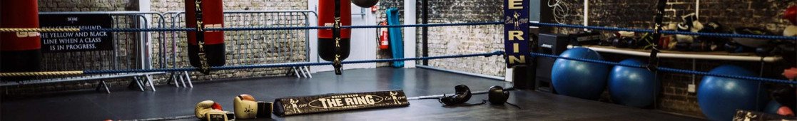 Punching Ball