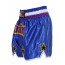 Short boxe thaï STAR Bleu & Violet