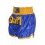 Short boxe thaï FIGHTER Bleu & Jaune