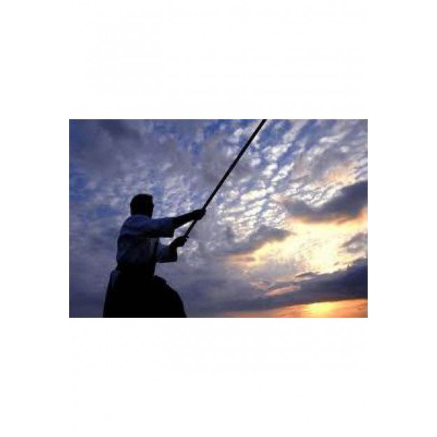 Bo Chêne Rouge Shureido Effile 180cm