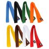 Ceinture Judo Budofight