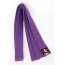 Ceinture Taekwondo Violette