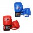 Gants de Boxe Falcon 100% cuir
