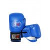 Gants de Boxe Falcon 100% cuir