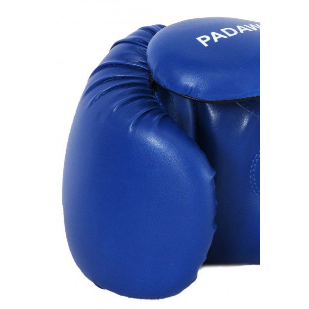 Comment choisir ses gants de boxe pour débuter ?