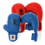 Gants de karaté FFK