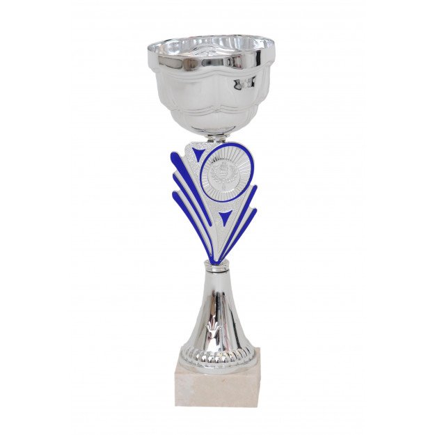 Coupe bicolore argent / bleu 29cm