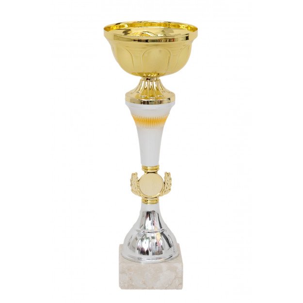 Coupe bicolore or / argent 28cm