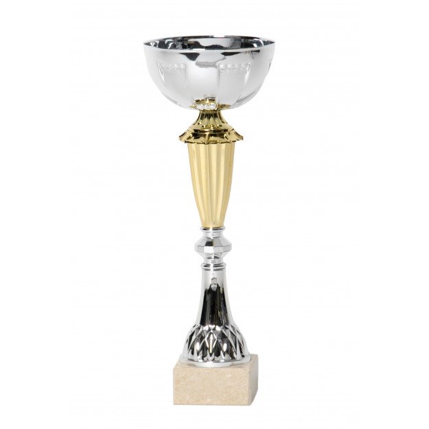 Coupe bicolore argent / or 27cm