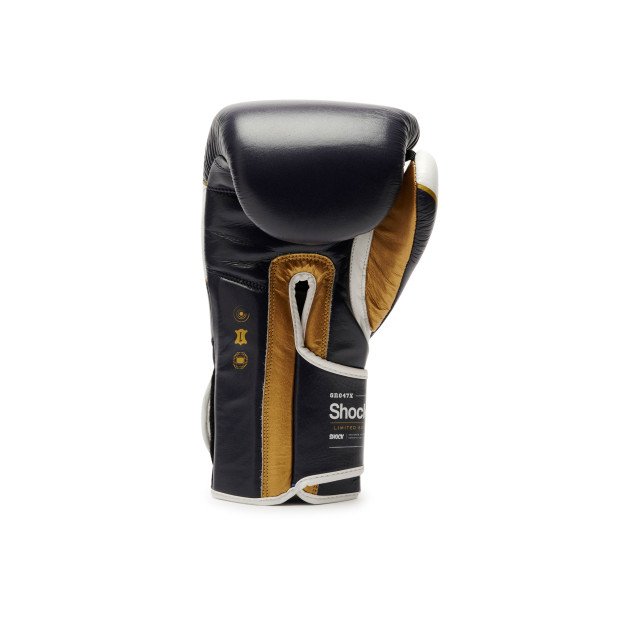 Gants de boxe Leone Shock X bleu