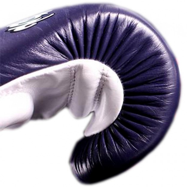 Gants de boxe Fairtex FXV6
