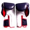Gants de boxe Fairtex FXV6