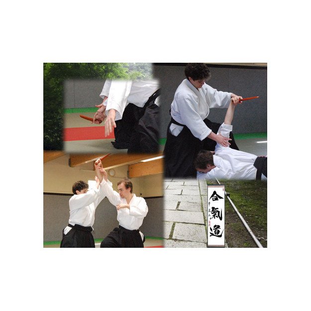 Kaiken Tanto Aikuchi Blanc Laqué Importé du Japon