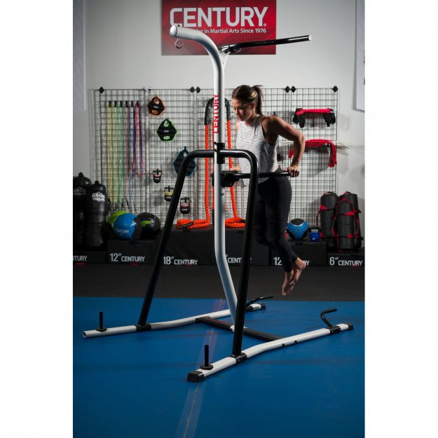 Portique sac de frappe & fitness Century