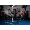 Portique sac de frappe & fitness Century