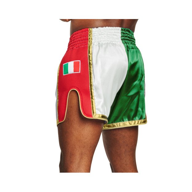 Short Boxe Thaï Leone Siam