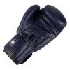 Gants de Boxe Twins BGVL 3
