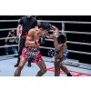 Short Boxe Thai KPB Storm 3-S