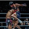 Short Boxe Thai KPB Storm 4-S