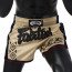 Short Boxe Thaï Fairtex Beige/Tribal 1713