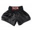 Short Boxe Thaï Twins Trunk