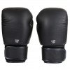 Gants de Boxe Elion Collection Paris 100% cuir
