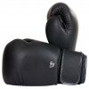 Gants de Boxe Elion Collection Paris 100% cuir