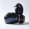 Gants de Boxe Elion Collection Paris 100% cuir