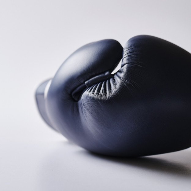 Gants de Boxe Elion Collection Paris 100% cuir