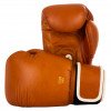 Gants de Boxe Elion Collection Paris 100% cuir