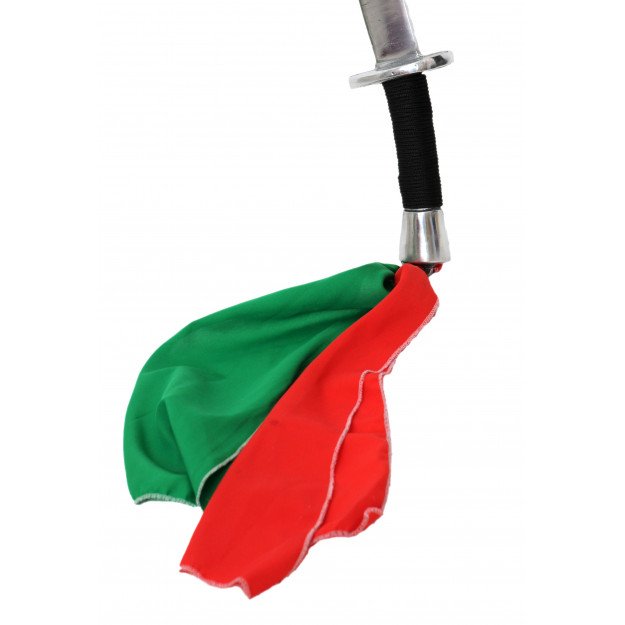 Sabre Kung Fu Rigide