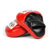 Pattes d'ours de Boxe courbées Fairtex Pro taille M