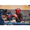 Casque de Boxe Orion