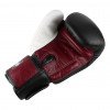 Gants de boxe Twins BGVL 4