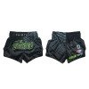 Short boxe Thaï Fairtex Noir/Gris 1924