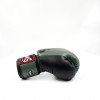 Gants de boxe Twins BGVL 8