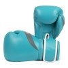 Gants de boxe Elion Élégant 100% cuir