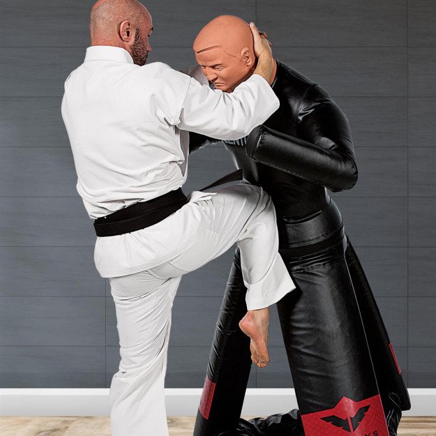 Base de frappe Century Versys VS Bob