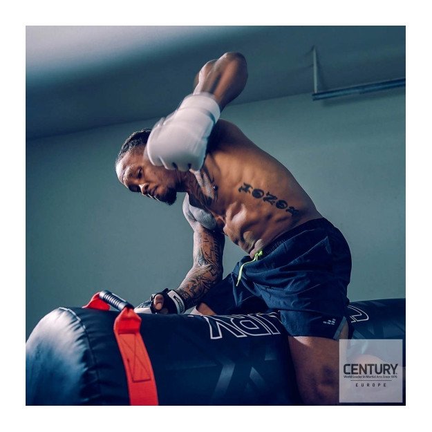 Punching Ball et Grappling Century Versys VS1 Pro