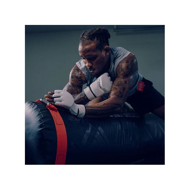 Punching Ball et Grappling Century Versys VS1 Pro
