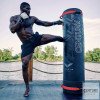 Punching Ball et Grappling Century Versys VS1 Pro