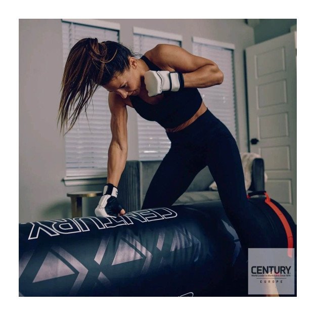 Punching Ball et Grappling Century Versys VS1 Pro