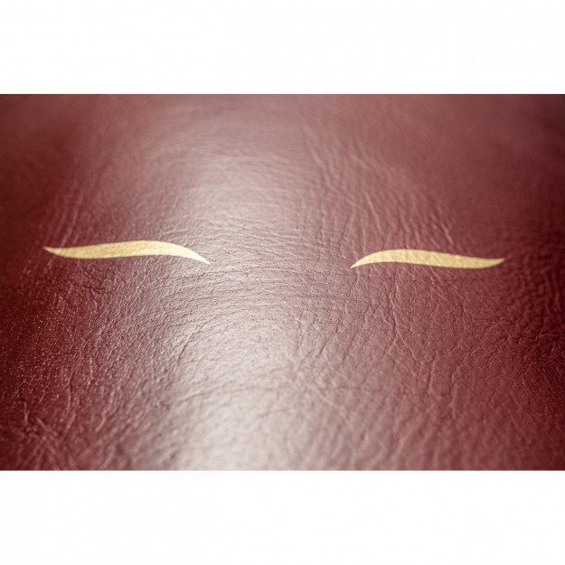 Sac de Frappe Elion Cuir 130cm